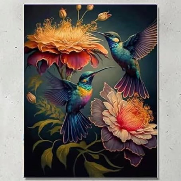 Other - 5D Full Drill Diamond Art Hummingbirds Round Diamond Dots